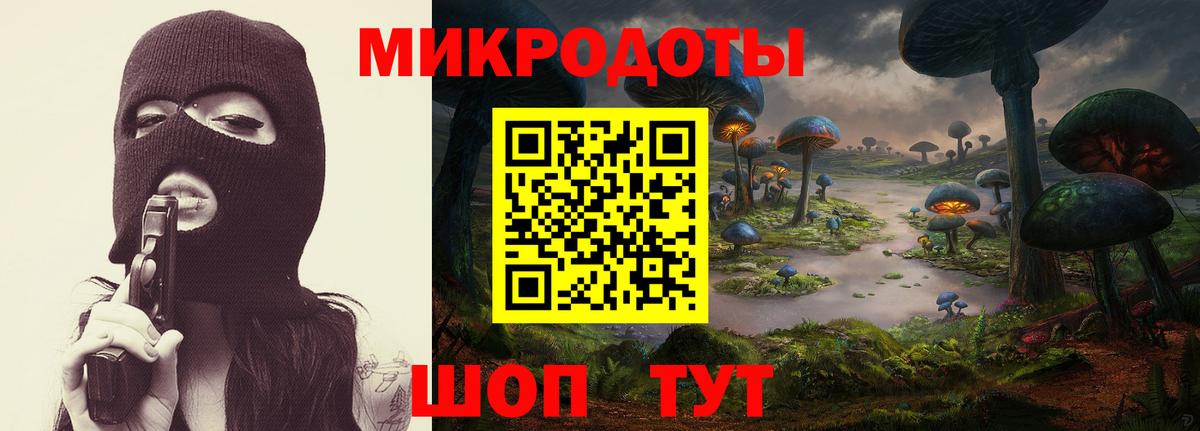 Псилоцибиновые грибы Psilocybine cubensis Саяногорск